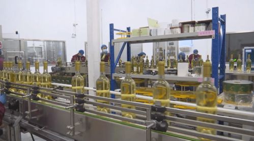 新年开门红 订单饱满驱动生产提速，技术转让赋能企业转型升级