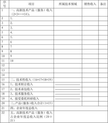 企业高新技术产品(服务)收入情况表